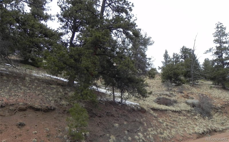 153 Idlewild Dr, Cripple Creek, CO 80813