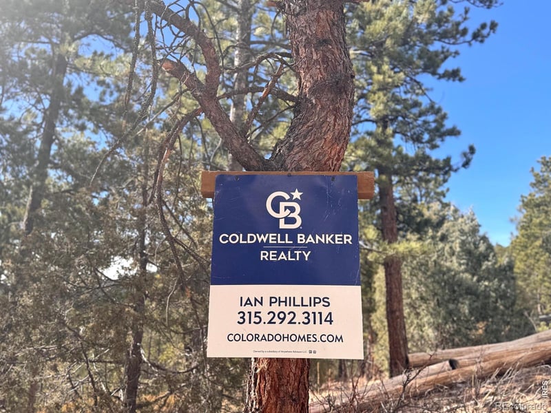 Cedar Dr, Lyons, CO 80540