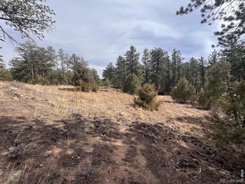 Cedar Dr, Lyons, CO 80540