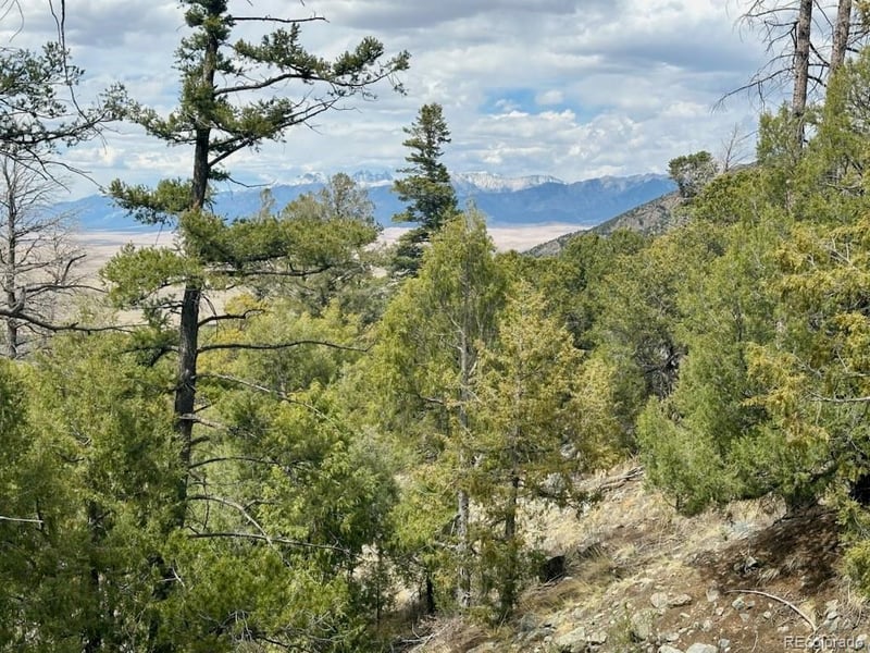 313 Arrastre Rd Lot 15 & 16, Mosca, CO 81146
