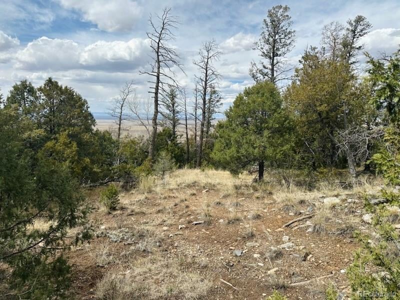 313 Arrastre Rd Lot 15 & 16, Mosca, CO 81146