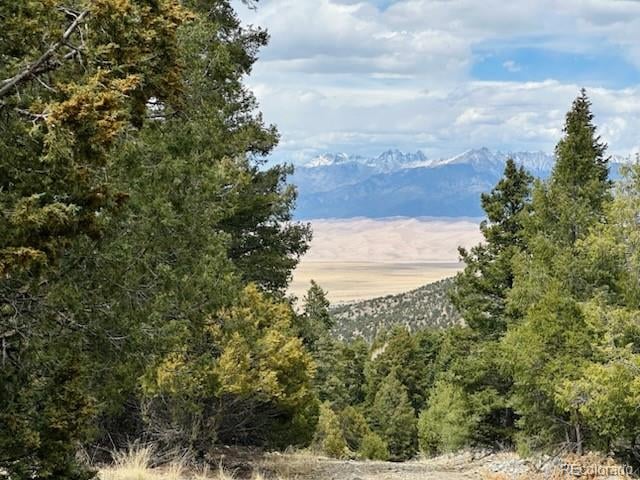 313 Arrastre Rd Lot 15 & 16, Mosca, CO 81146