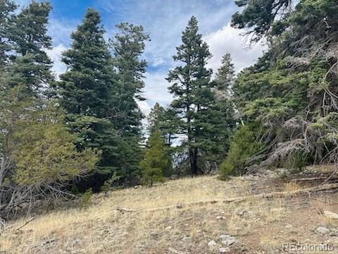 313 Arrastre Rd Lot 15 & 16, Mosca, CO 81146
