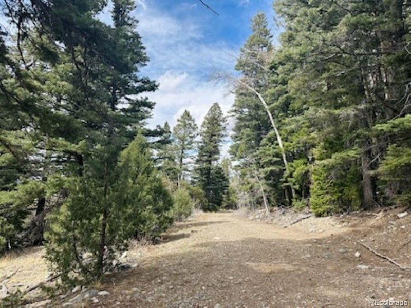 313 Arrastre Rd Lot 15 & 16, Mosca, CO 81146