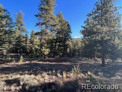 14759 Quartz Cir, Salida, CO 81201