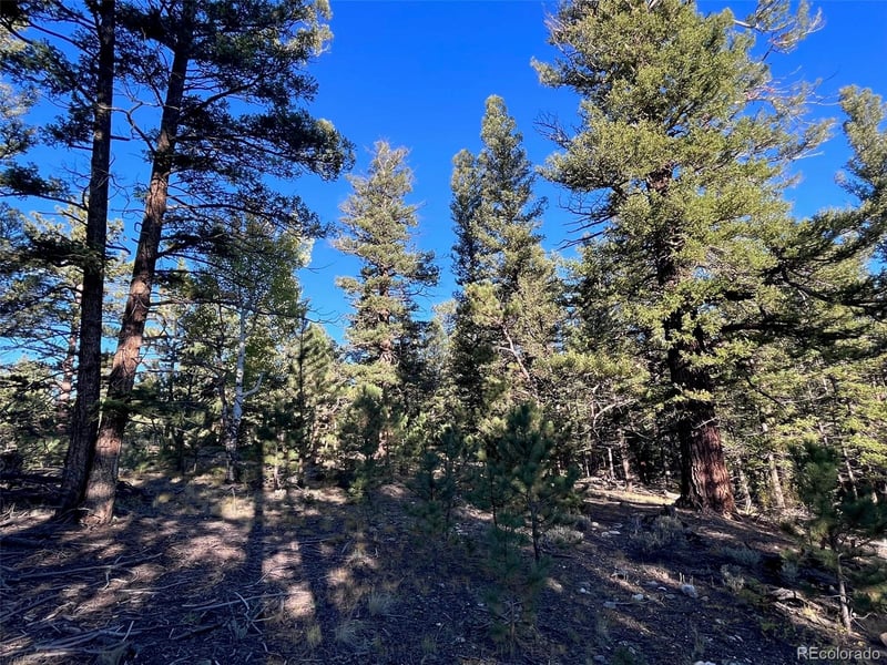 14710 Quartz Cir Lot 34, Salida, CO 81201