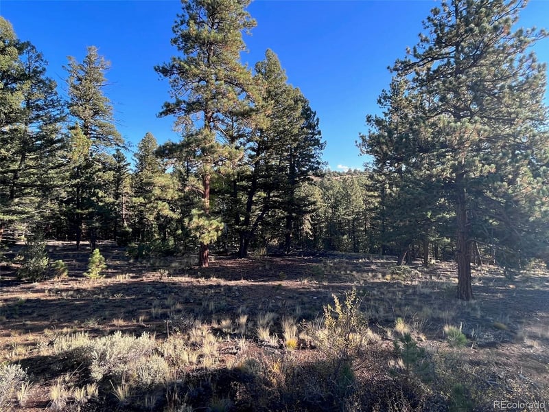 14710 Quartz Cir Lot 34, Salida, CO 81201