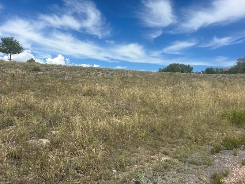 213 Palomar Pz, Pueblo West, CO 81007