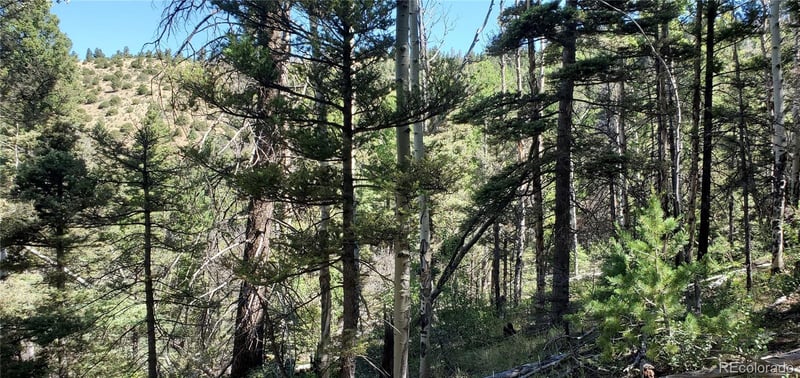 Lot 5610 Dawson Rd, Fort Garland, CO 81133