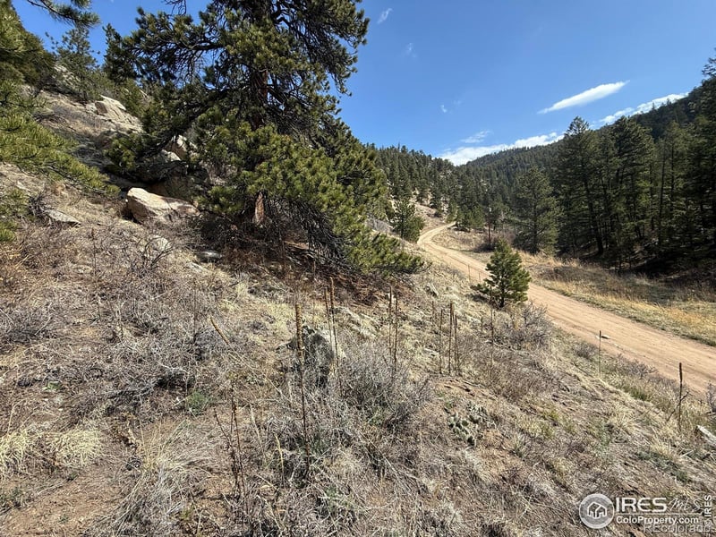 1050 Pine Tree Dr, Estes Park, CO 80517