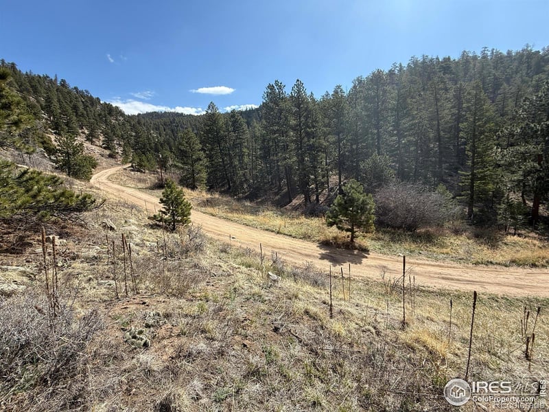 1050 Pine Tree Dr, Estes Park, CO 80517