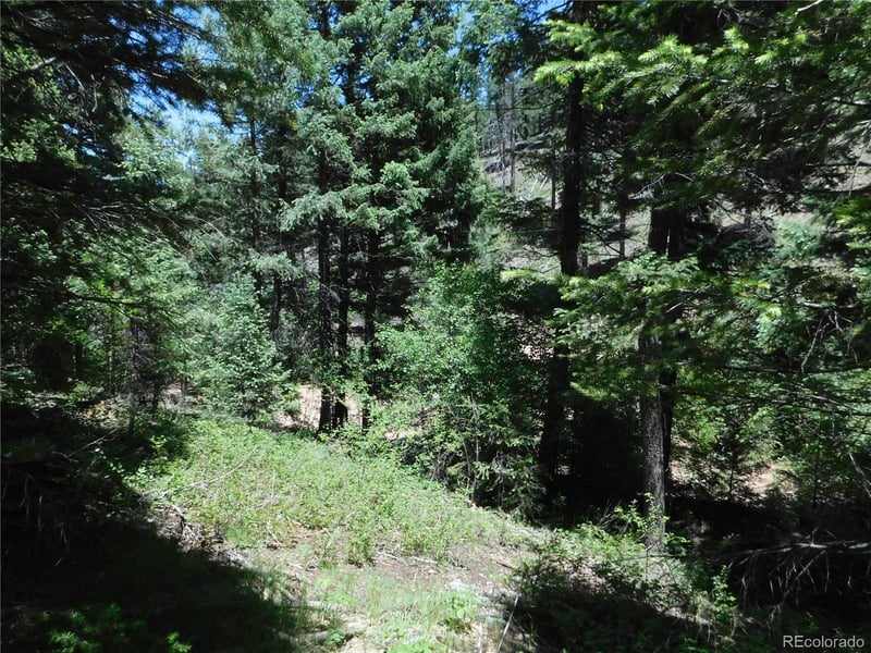 13175 Spruce Creek Cir, Larkspur, CO 80118