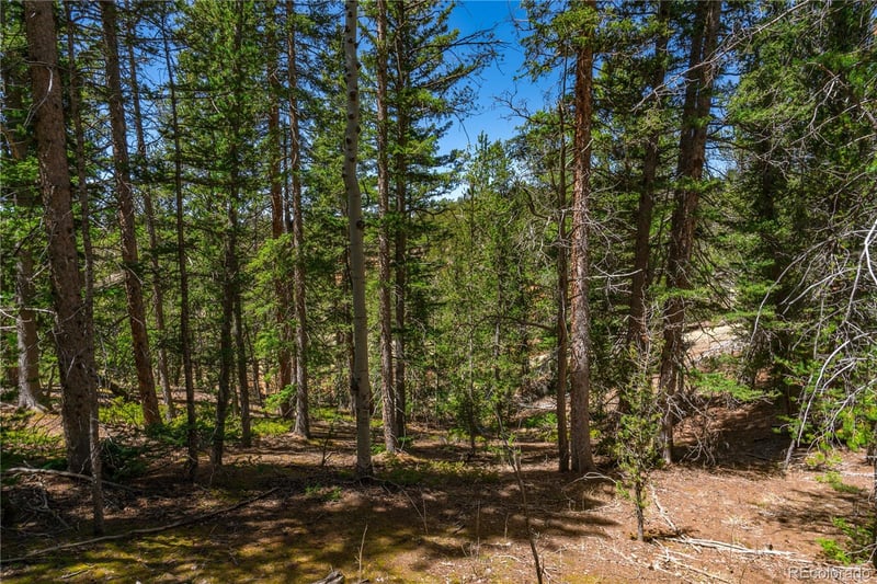 Brown Bear Dr, Cripple Creek, CO 80813