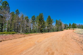 Brown Bear Dr, Cripple Creek, CO 80813