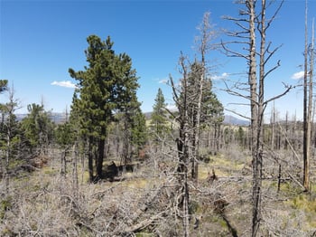 2249 Buonaventura Ln, Fort Garland, CO 81133