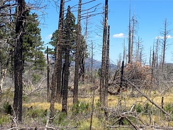 2249 Buonaventura Ln, Fort Garland, CO 81133