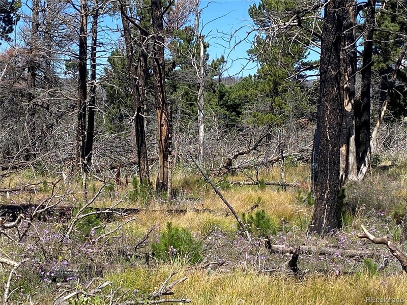 2249 Buonaventura Ln, Fort Garland, CO 81133