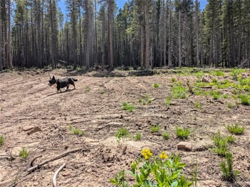 3419 Grojean Dr, Fort Garland, CO 81133