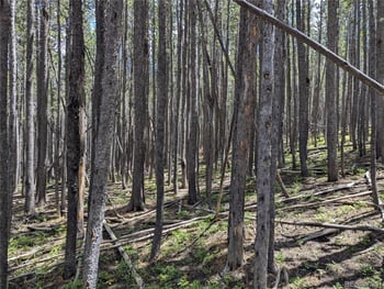 3419 Grojean Dr, Fort Garland, CO 81133