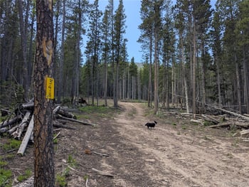 3419 Grojean Dr, Fort Garland, CO 81133