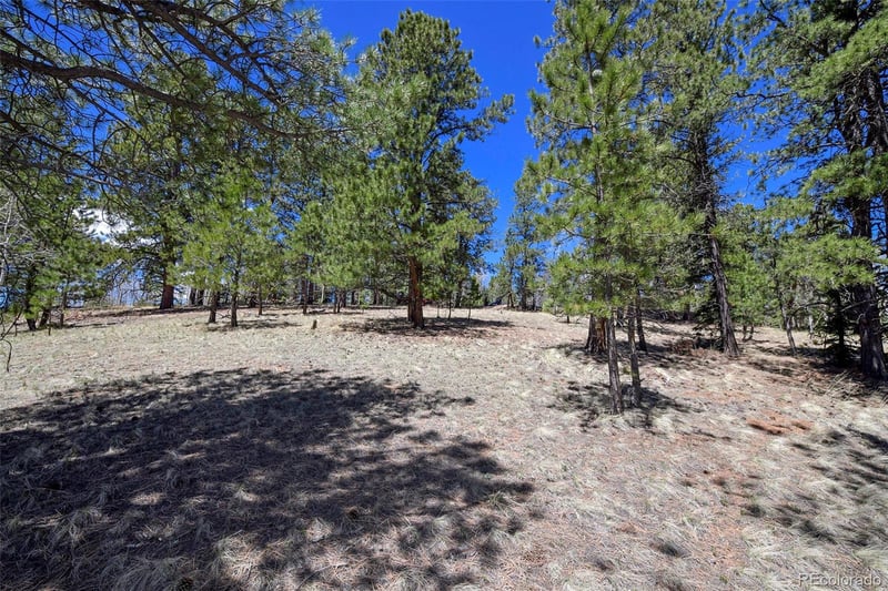 112 Blue Jay Ln, Florissant, CO 80816