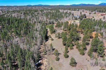 112 Blue Jay Ln, Florissant, CO 80816