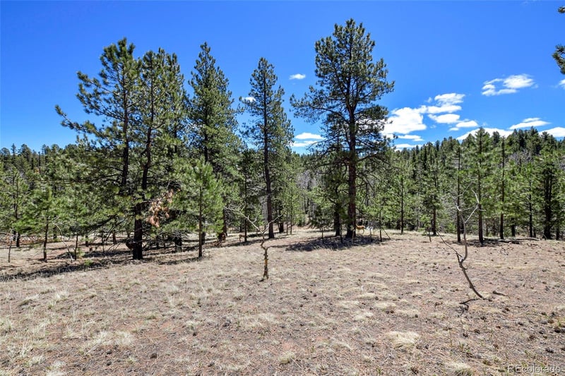 112 Blue Jay Ln, Florissant, CO 80816