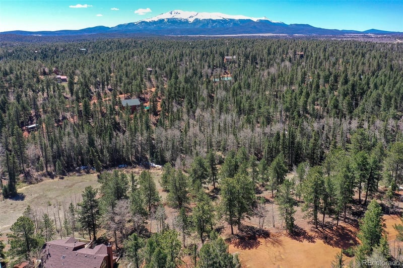 112 Blue Jay Ln, Florissant, CO 80816