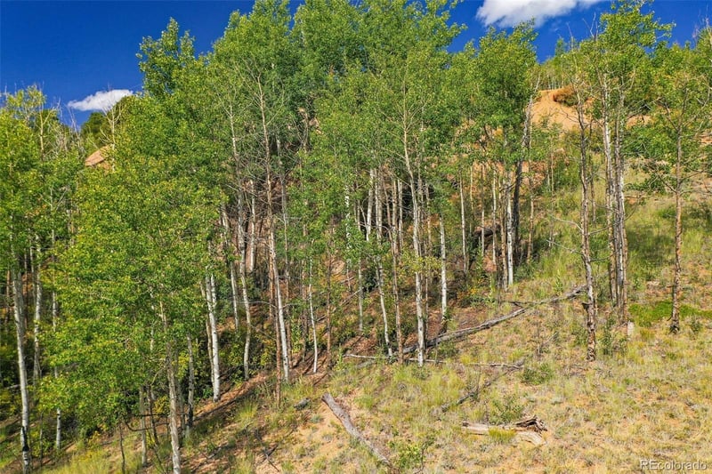 1300 Golden Cycle Cir, Cripple Creek, CO 80813