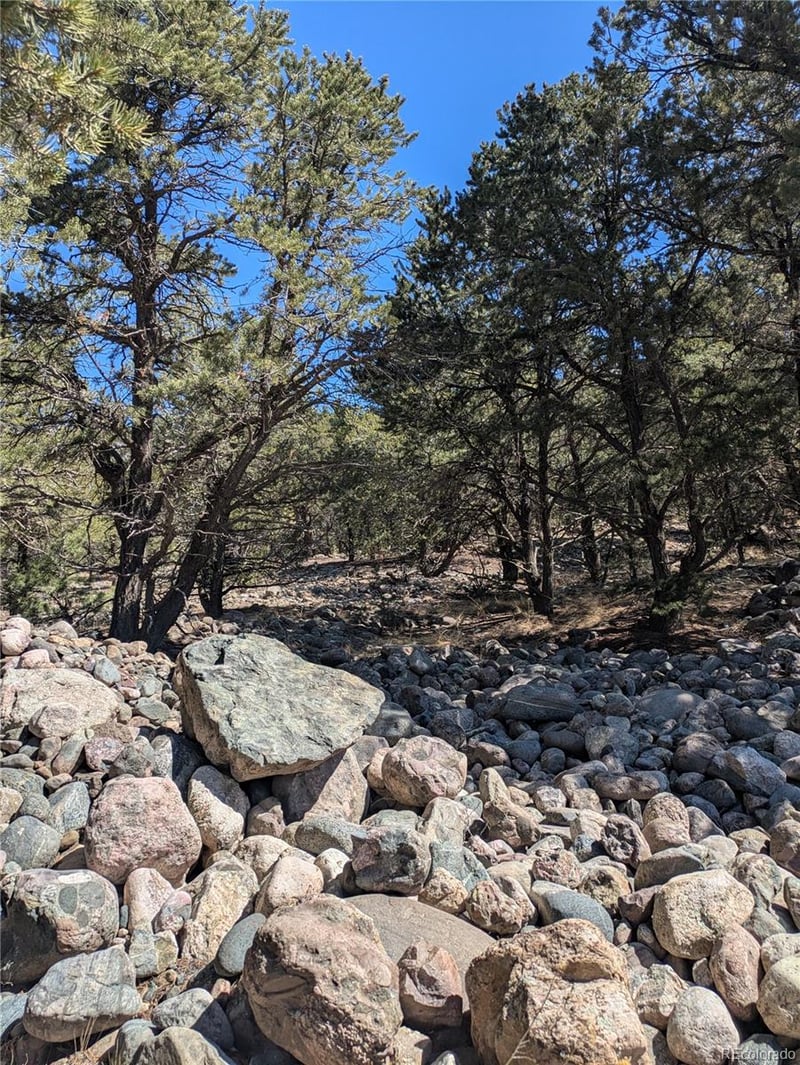 2202 Spanish Creek Rd, Crestone, CO 81131