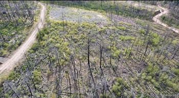 915917 Ueda Pl, Fort Garland, CO 81133