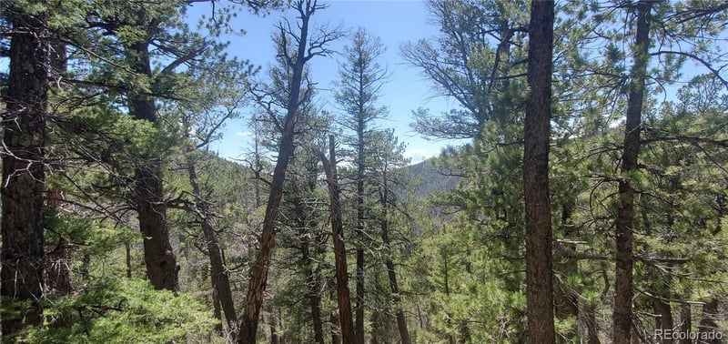 Lot 6764 Kerrigan Rd, Fort Garland, CO 81133