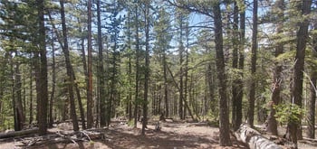 Lot 6764 Kerrigan Rd, Fort Garland, CO 81133