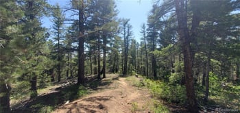 Lot 6764 Kerrigan Rd, Fort Garland, CO 81133