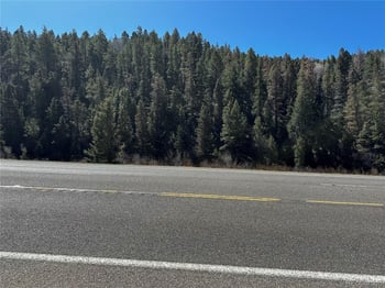 Lot 223 Hwy 160 , Fort Garland, CO 81133