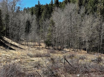 Lot 223 Hwy 160 , Fort Garland, CO 81133