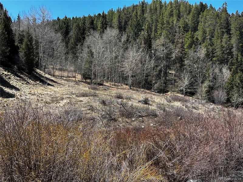 Lot 223 Hwy 160 , Fort Garland, CO 81133