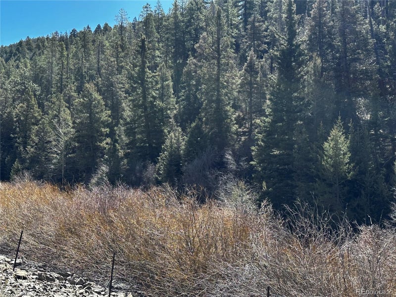 Lot 223 Hwy 160 , Fort Garland, CO 81133