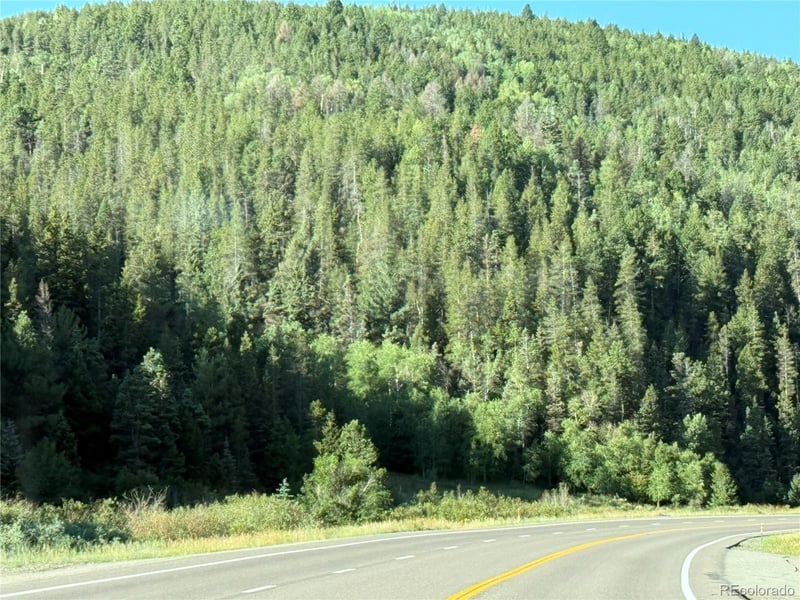 Lot 223 Hwy 160 Lot 223, Fort Garland, CO 81133