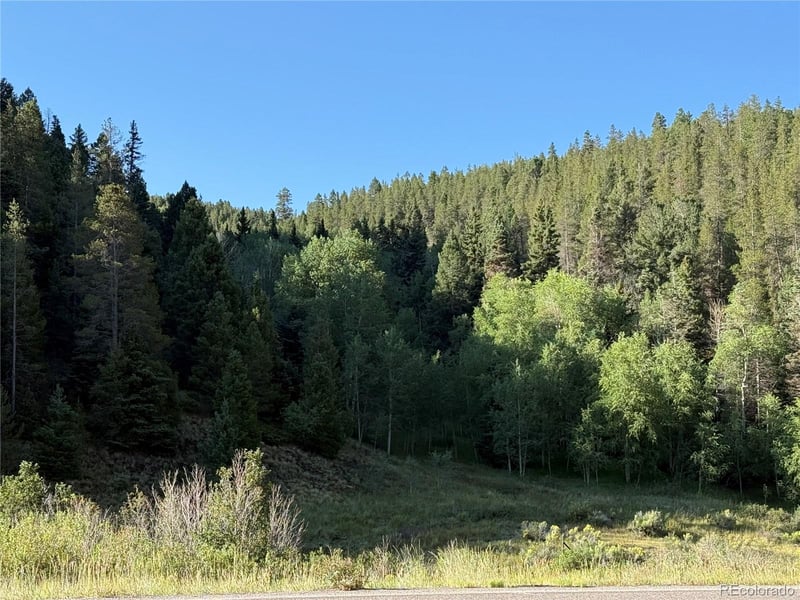 Lot 223 Hwy 160 Lot 223, Fort Garland, CO 81133