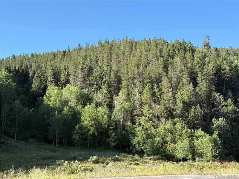 Lot 223 Hwy 160 Lot 223, Fort Garland, CO 81133