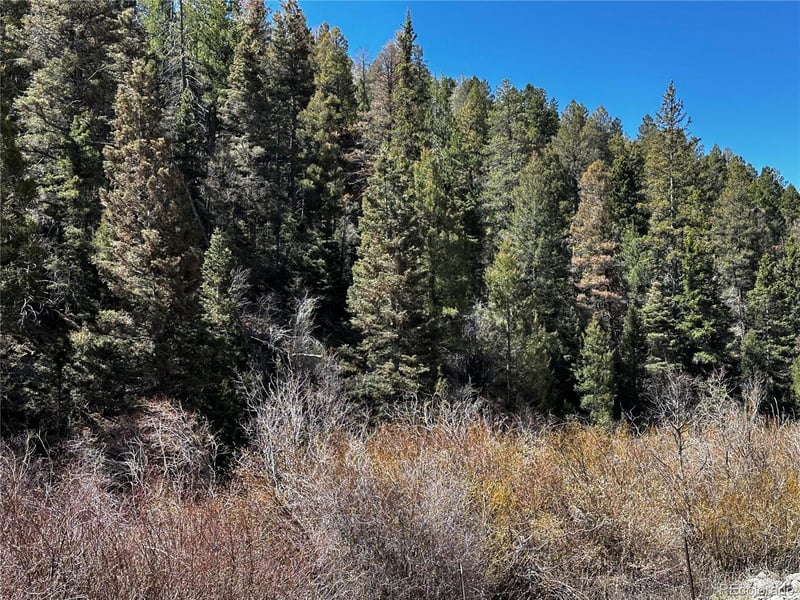 Lot 223 Hwy 160 Lot 223, Fort Garland, CO 81133