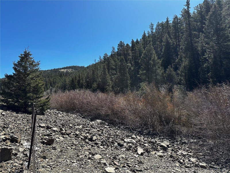 Lot 223 Hwy 160 Lot 223, Fort Garland, CO 81133
