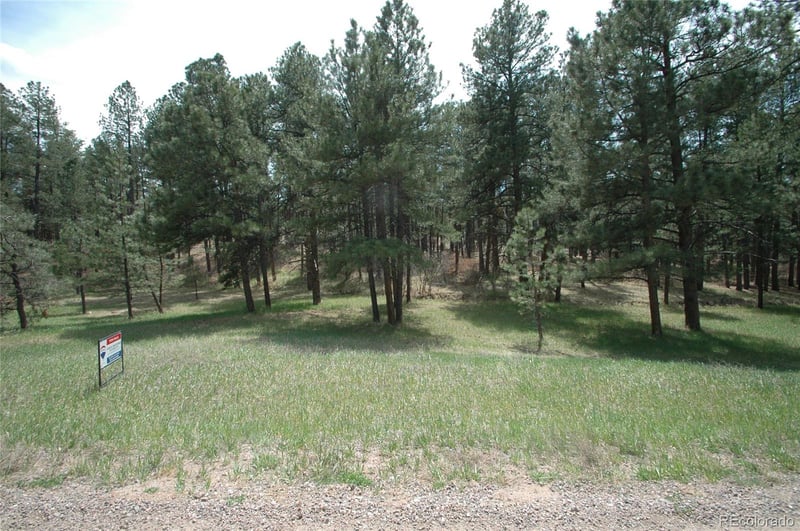 856 Woodridge Rd, Franktown, CO 80116