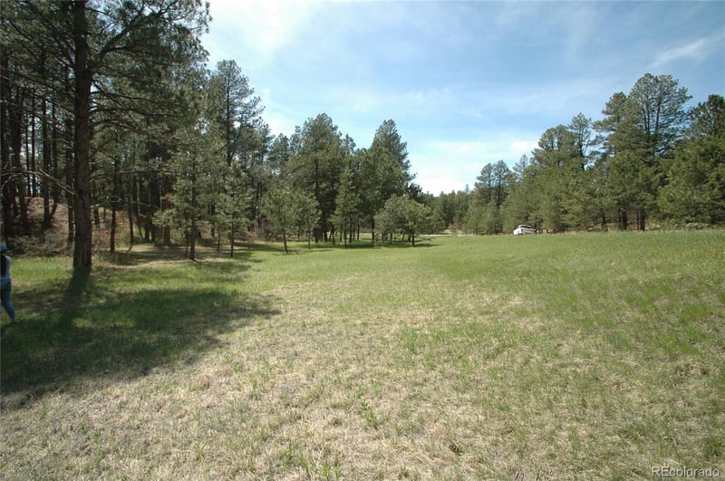 856 Woodridge Rd, Franktown, CO 80116