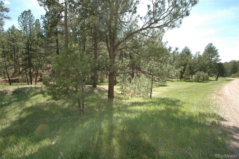 856 Woodridge Rd, Franktown, CO 80116