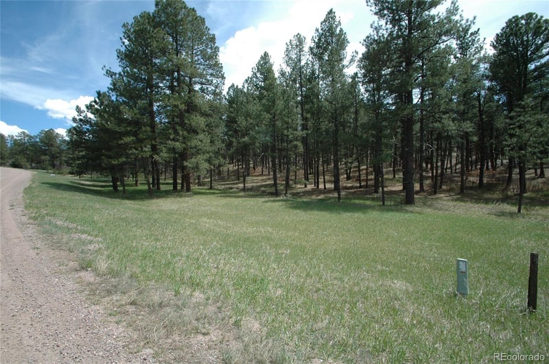 856 Woodridge Rd, Franktown, CO 80116