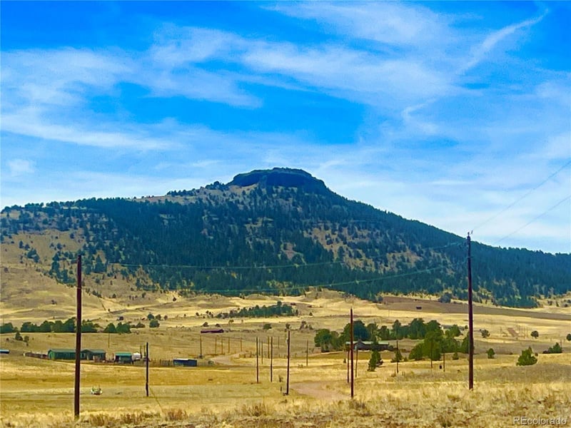 90 Meadow Ln Lot 2, Guffey, CO 80820