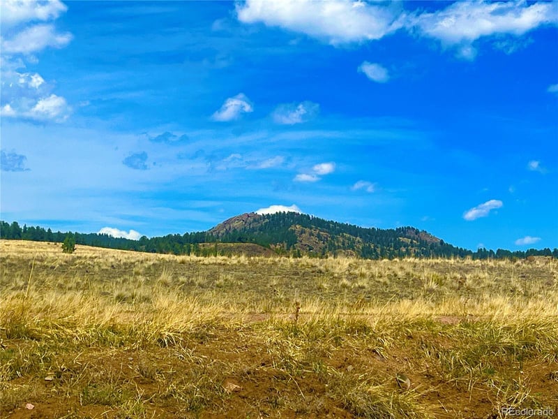 90 Meadow Ln Lot 2, Guffey, CO 80820