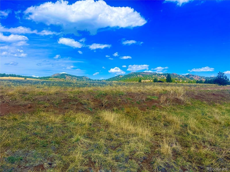 90 Meadow Ln Lot 2, Guffey, CO 80820